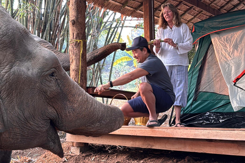 Chiang Mai 2-Day: Good Morning Elephant & Overnight Homestay