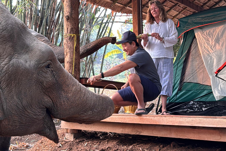 Chiang Mai 2-Day: Good Morning Elephant & Overnight Homestay