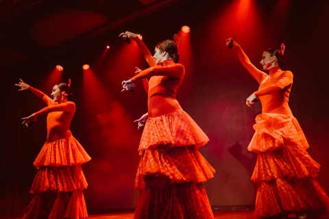 Tenerife: Olé Flamenco Show door Fran Chafino TicketZetel "Platino"