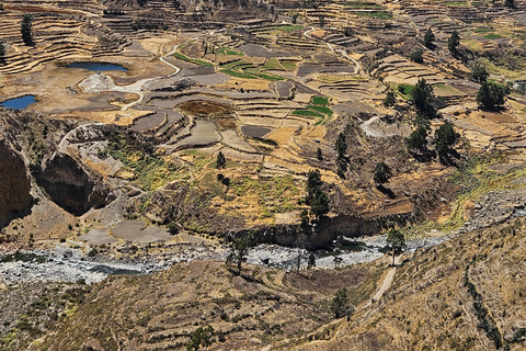 From Puno: Colca Canyon Expedition, Ending in Arequipa