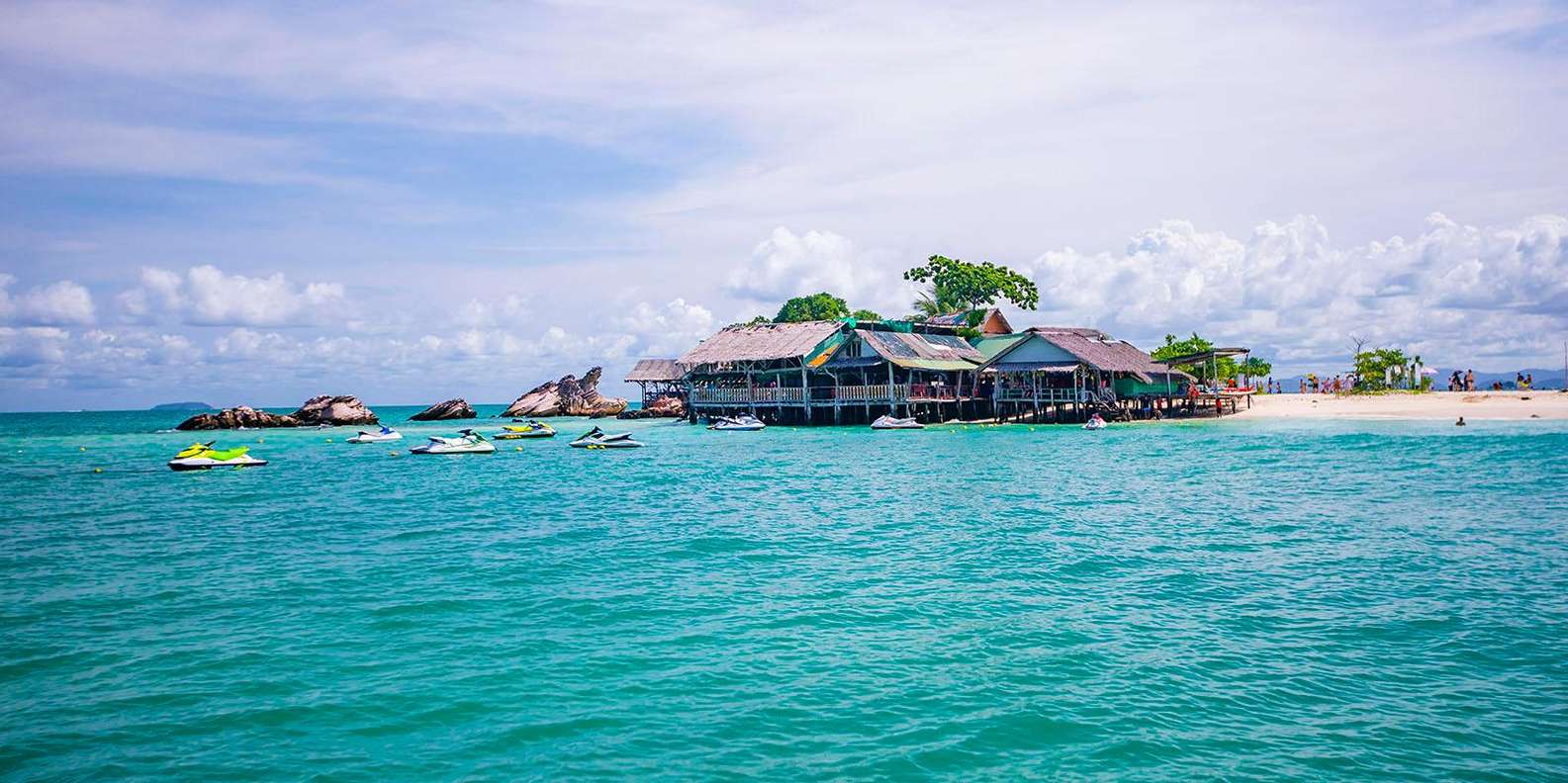 section