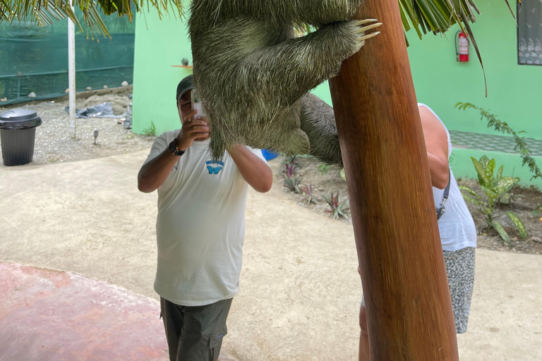 Cahuita Nationalpark & Maratopia tropischer Garten