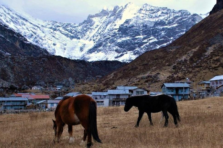 From Kathmandu: 5 Days Langtang Valley Nature Explore Trek