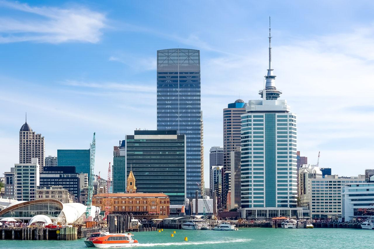 Explora o Património das Belas Artes de Auckland - Viagem de carroVisita guiada alemã