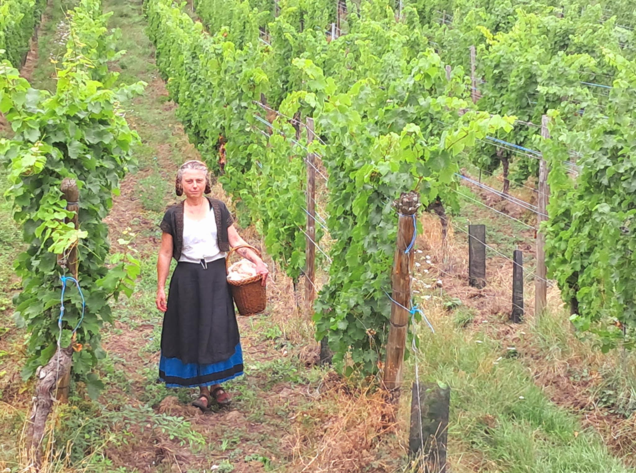 Das wahre Herz des Elsass in Riquewihr mit authentischer Weinprobe