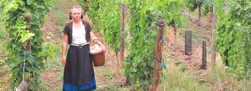 Le vrai coeur de l'Alsace à Riquewihr avec authentique dégustation de vin