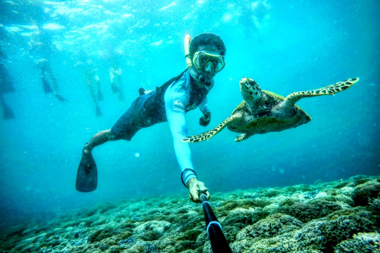 Lombok: Private Snorkeling,Gili Trawangan,Gili Meno,Gili Air Start From: Tetebatu/Lembar Port/Gili Mas Port