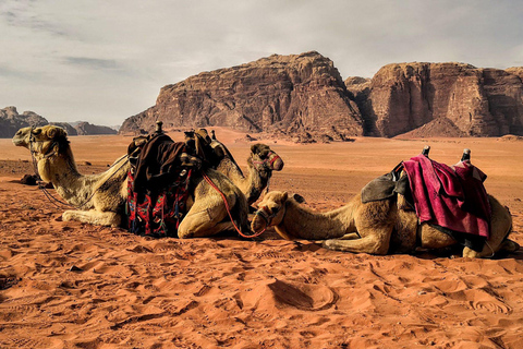 From Petra: Private Wadi Rum Tour with Hotel Pickup