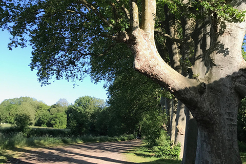 Guided bike tours of the Marais Poitevin, the premier marshland on the west coast. Guided bike tours in the Marais Poitevin, the 1st marsh on the west coast.