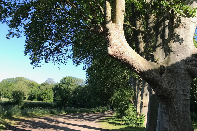 Guided bike tours of the Marais Poitevin, the premier marshland on the west coast. Guided bike tours in the Marais Poitevin, the 1st marsh on the west coast.