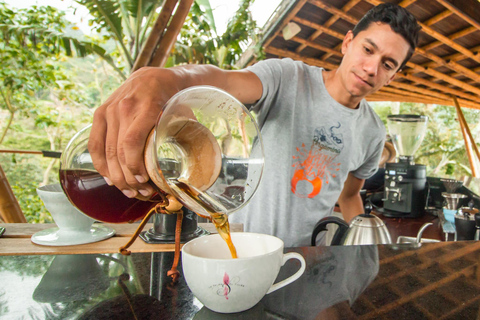 Upplevelse av kaffeodling på La Palma &amp; El Tucán från Bogotá