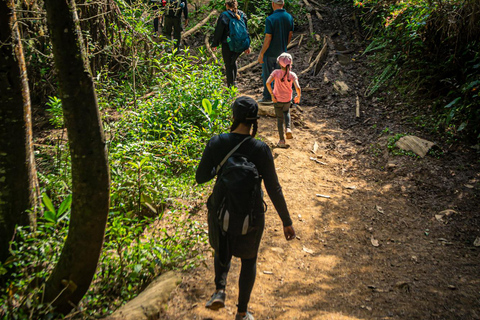 Medellín Hiking, Santa Elena – Arví Park, Forests, and Lagoon