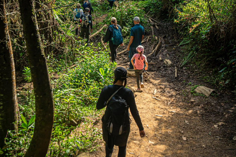 Medellín Hiking, Santa Elena – Arví Park, Forests, and Lagoon