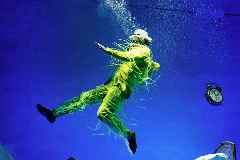 Cirque du Soleil LUDÕ — Vallarta Premium Balcony Experience: Show, Champagne, and Canapés