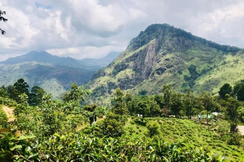 Sri Lanka 5-dniowa wycieczka krajoznawcza