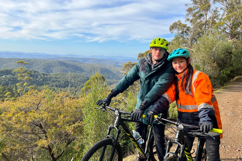 Depuis Hobart : Sommet du Mont Wellington et excursion à vélo dans la forêt tropicale