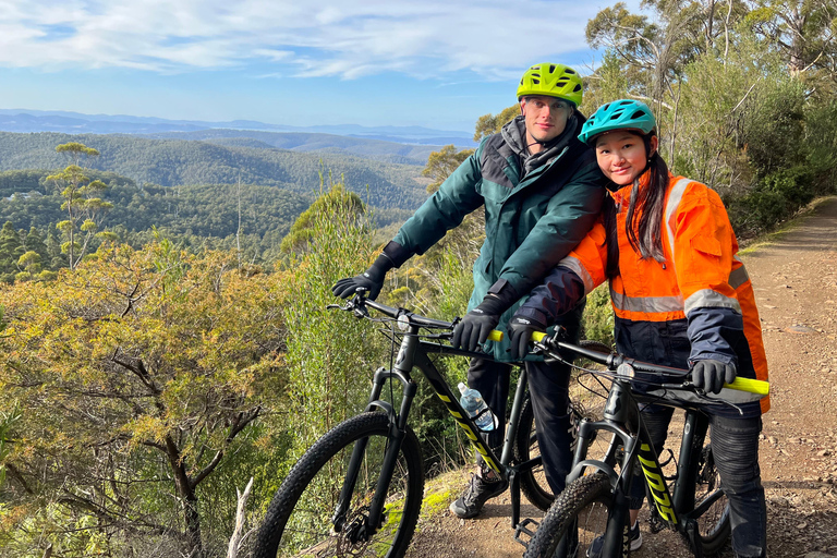 Vanuit Hobart: Fietstocht naar de top van Mt Wellington en het regenwoud