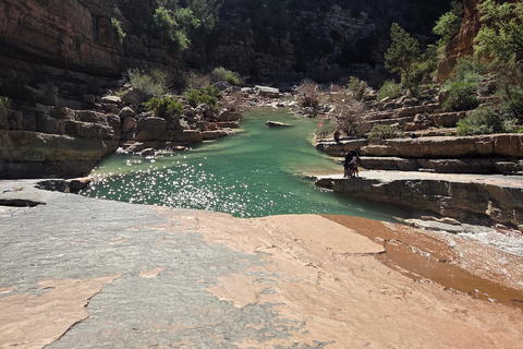 From Agadir/Taghazout: Paradise Valley Guided Tour with Hike