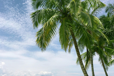 6 dagar och 5 nätter på Zanzibar Semesterpaket med boende