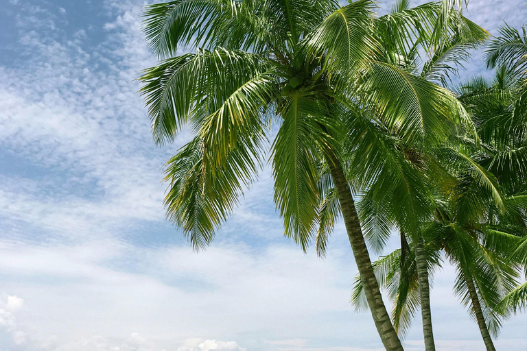 6 dagar och 5 nätter på Zanzibar Semesterpaket med boende