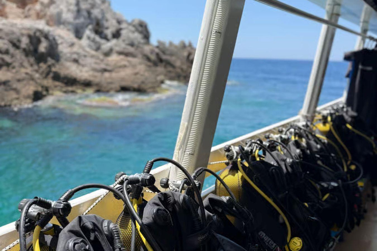 Alanya: Cleopatra Beach Sunset Scuba Diving Experience