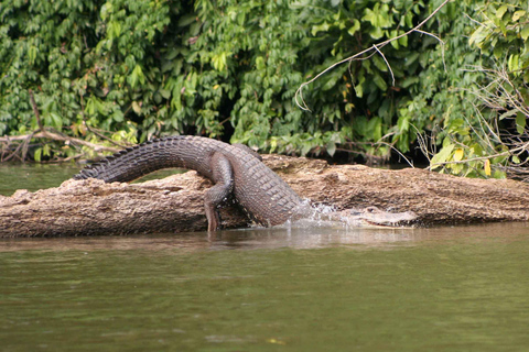 PASSEIO NA AMAZÔNIA ÁREA CULTURAL DE MANU 3D - 2N