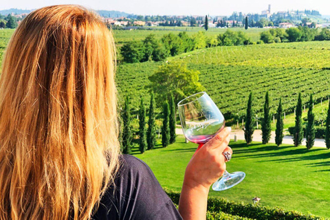 Tour particular à caverna dos pássaros para degustação de vinhos Khor Virap Noravank