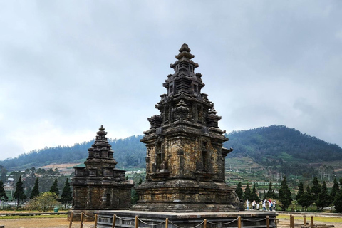 From Yogyakarta: Dieng Tour, Golden Sunrise &amp; Tea Plantation