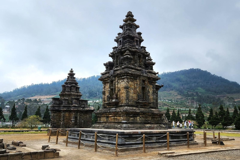 From Yogyakarta: Dieng Tour, Golden Sunrise &amp; Tea Plantation