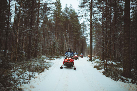 Rovaniemi: Early Winter 2 Hour Snowmobile Safari