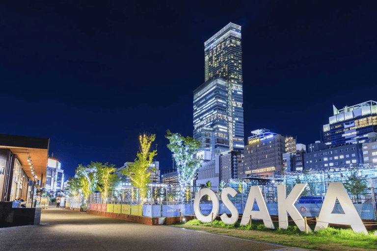 大阪：道顿堀夜间活动和全景之旅大阪：道顿堀夜间活动和全景游