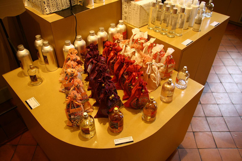 Au départ de Nice : Excursion d'une demi-journée à Eze, Monaco et Monte-Carlo