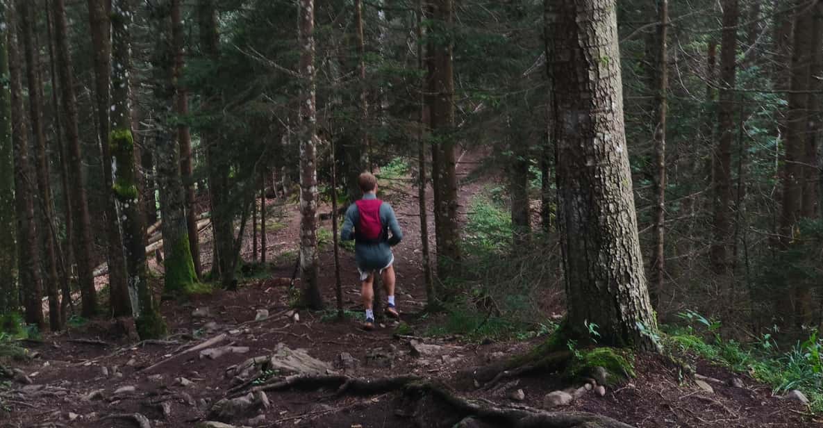 Afbeelding 15 van Interlaken: Top de Augstmatthorn met een Zwitserse triatleet