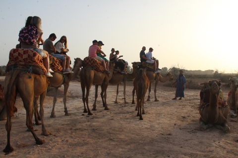 Agadir : balade à dos de chameau ou à cheval au coucher du soleil avec dîner barbecueAgadir : Balade au coucher du soleil à dos de chameau ou à cheval avec dîner barbecue