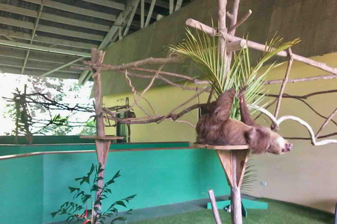 Panamá: Excursión a la Isla de los Monos, el Santuario de los Perezosos y el Lago Gatún