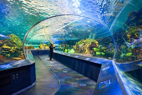 Toronto ICONIC Sightseeing Day Tour with Small Group Max 12 Tour Only