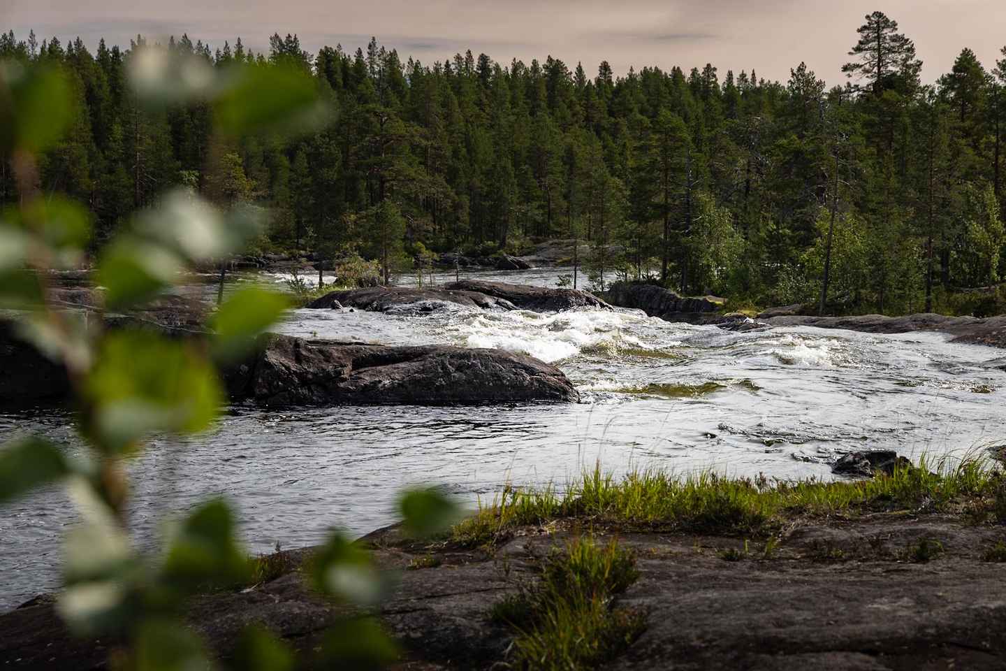 Swedish Lapland: Midnight Sun Photography Workshop