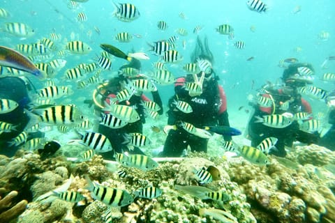Cebu Mactan Scuba Dive Diving Experience with Lunch Photos - Image 2