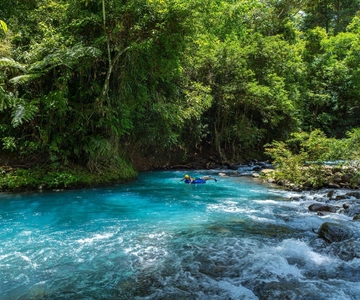 Ticket to Rio Celeste Waterfall & Tenorio National Park