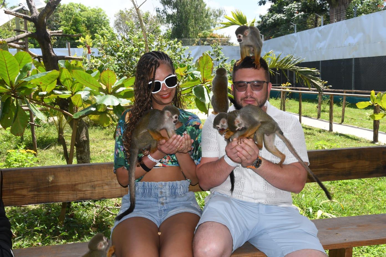 Puerto Plata: passeio de macacos-esquilo e visita a vacas e porcos