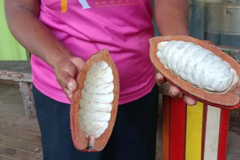 Port Vila: Waterfalls, Snorkel & Underwater Post Office Tour