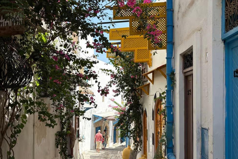 From Tunis: Sousse Guided Tour with Hotel Pickup Sousse half-day tour : from Monastir/Sousse : private group