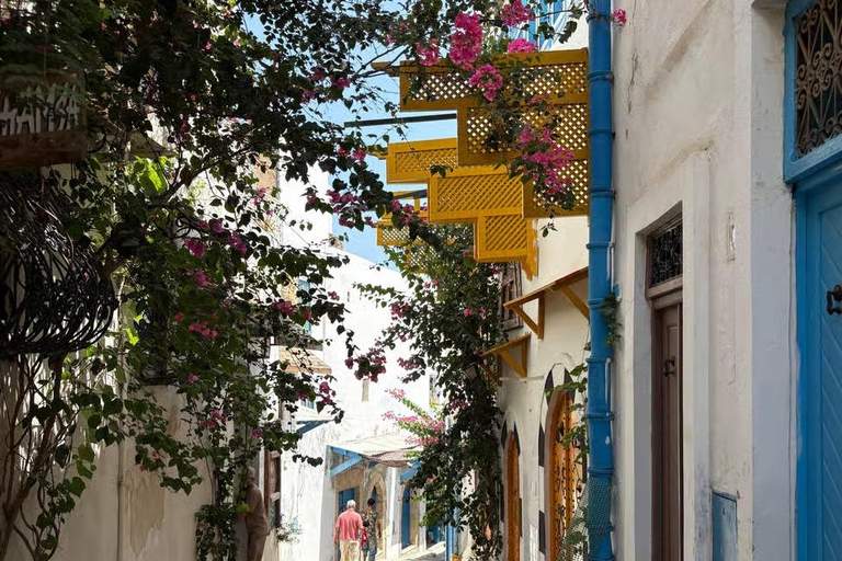 From Tunis: Sousse Guided Tour with Hotel Pickup Sousse half-day tour : from Monastir/Sousse : private group
