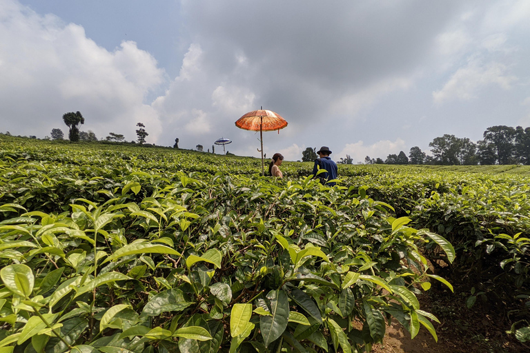 Bandung Countryside Tour: Waterfall, Rice Fields &amp; Culture