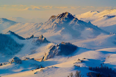 Dagstur Vinter Mongoliet