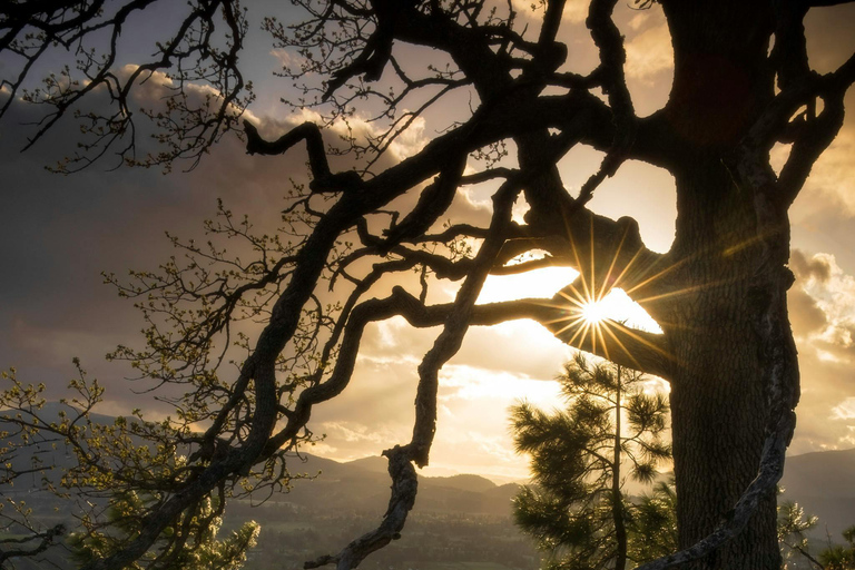 Game drive sunset view