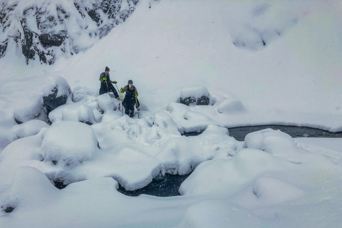 Guided Snowshoeing Adventure from Seward, Alaska 6-Hour Tour