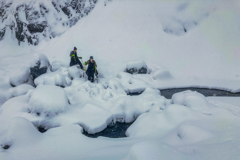 Guided Snowshoeing Adventure from Seward, Alaska 6-Hour Tour