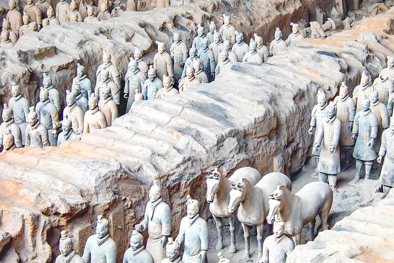 Xi'an: Terracotta Army, Lunch, City Wall, Pagoda, Bazaar Private Tour Spanish, Italian, German, French-Speaking Guide