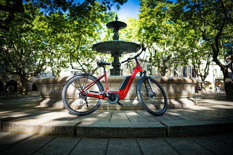 Provence: E-Bike Fahrt mit Weinverkostung